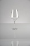 Plastglas vinglas cocktailglas Tritan