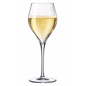 Exaltation champagneglass 30 cl 6 stk