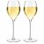 Elegance champagneglass 38 cl 2-pakning Stiernholm
