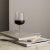 Informal stor glass 36 cl 2-pak Orrefors