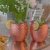 Moscow Mule kopperkrus, hamret 45 cl