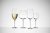 Juhlin champagnesglass 2-pakning 33 cl