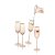 Soft Pink Flute Champagneglas 22 cl 4-pack
