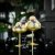Gullglass champagne glass - Cocktailglass i gull 45 cl