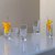 Bar snapsglass 7 cl 4-pakning Stiernholm