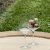 Zwiesel glas Bouquet ciderglass 37 cl – 2-pakning