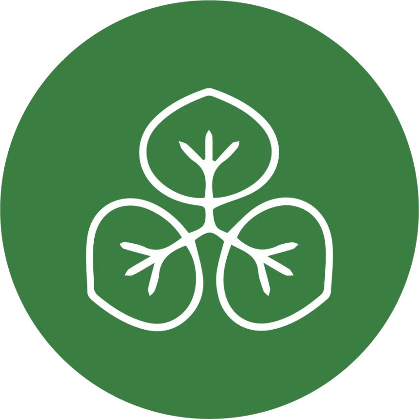 Sorte sugerør bioplast 15 cm 50-pak