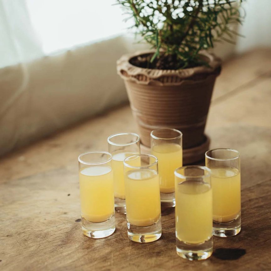 Zoom bilde av Saba snapsglass 6 cl, 6-pakning